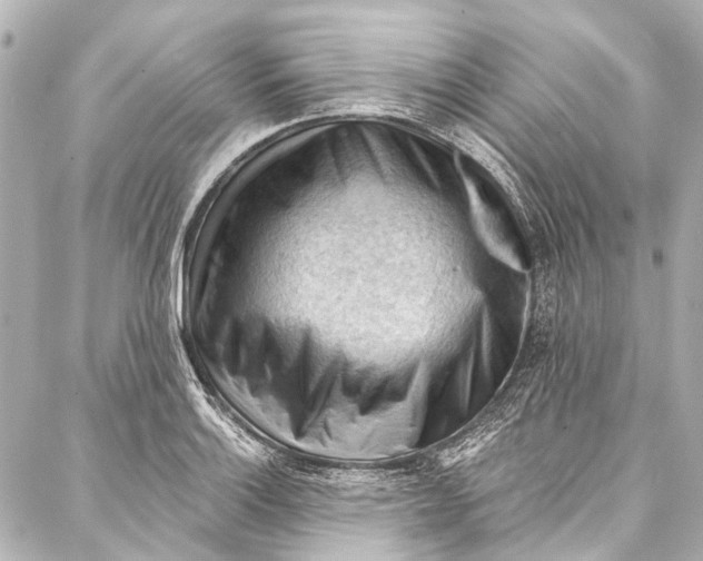 X0000087031132200705071528