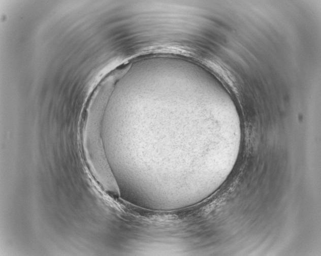 X0000087031133200705071528