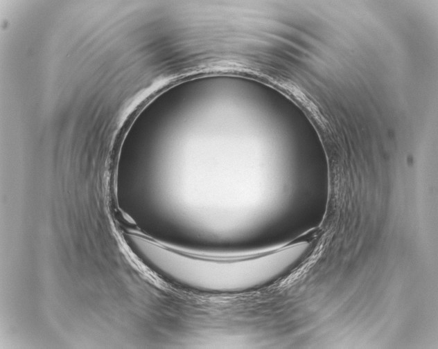 X0000087031134200705071528