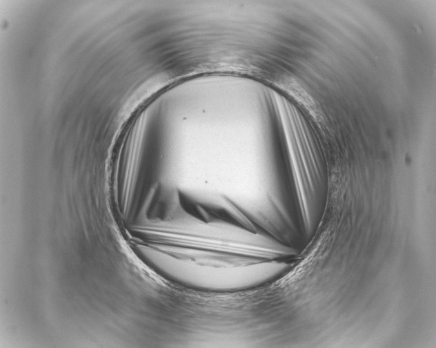 X0000087031135200705071528