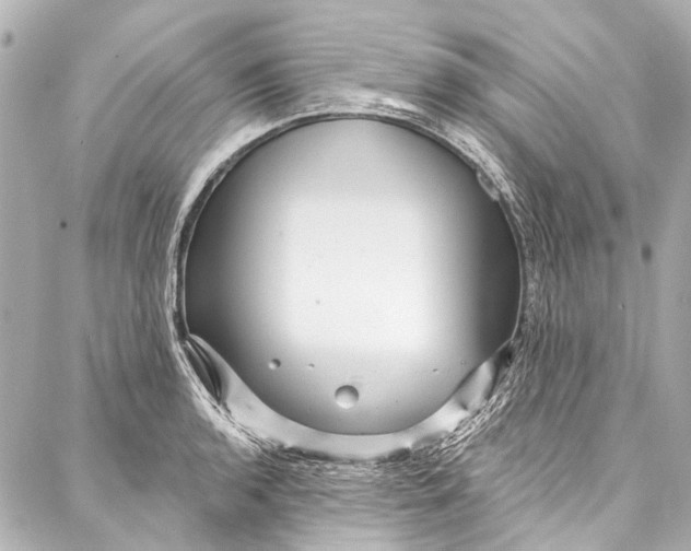 X0000087031136200705071528