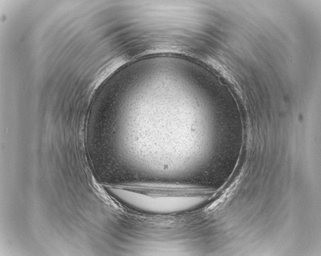 X0000087031137200705071528