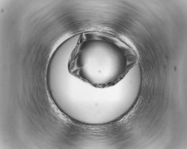 X0000087031138200705071528