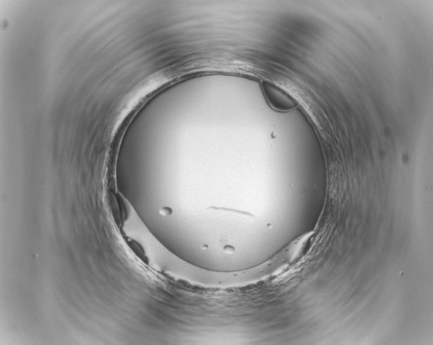 X0000087031139200705071528