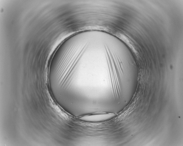 X0000087031140200705071528