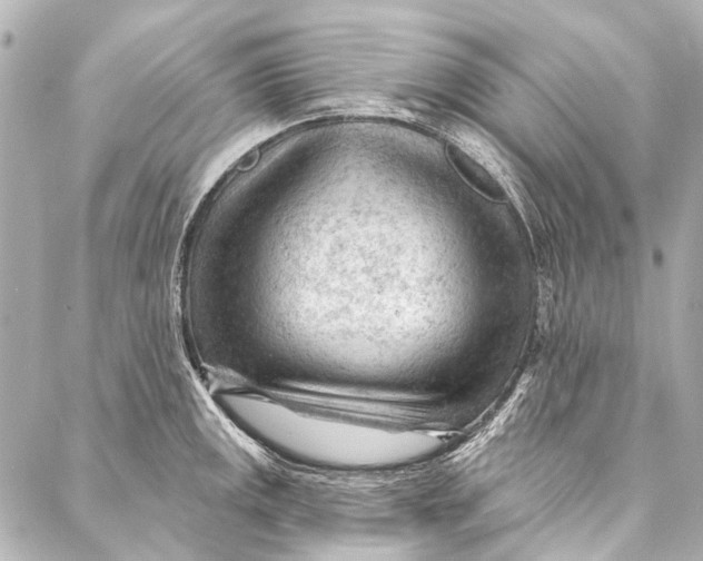 X0000087031141200705071528