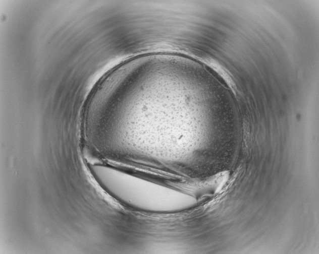 X0000087031142200705071528