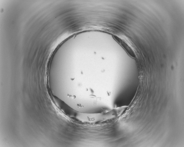 X0000087031143200705071528