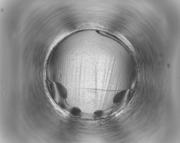 X0000087031144200705071528