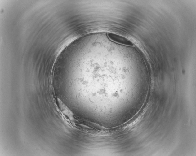 X0000087031145200705071528