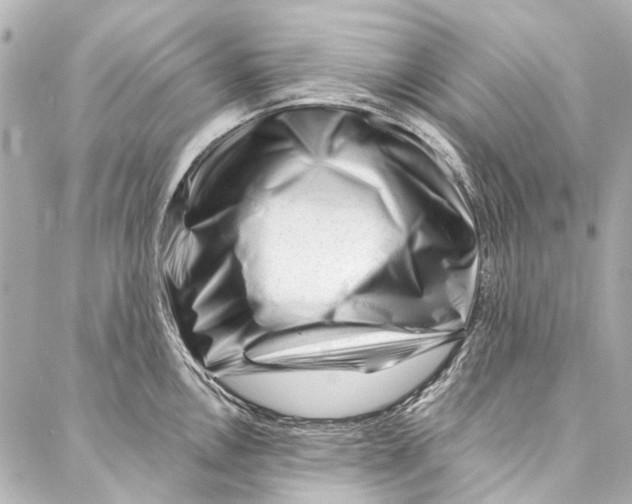 X0000087031146200705071528