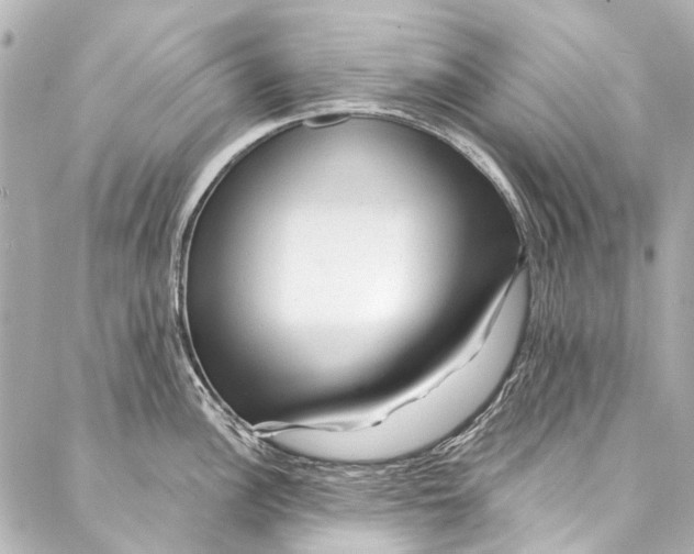 X0000087031148200705071528