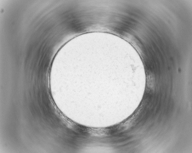 X0000087031150200705071528