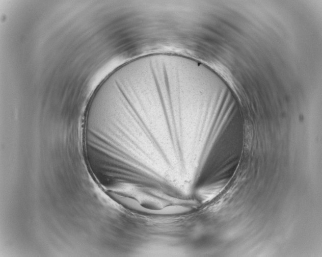 X0000087031151200705071528