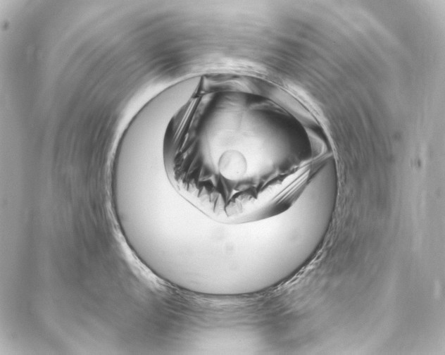 X0000087031152200705071528