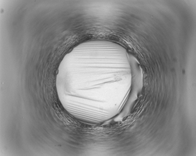 X0000087031153200705071527