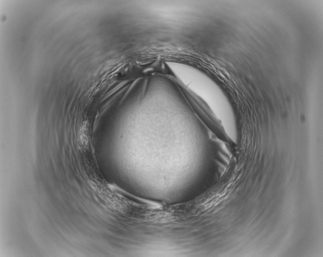 X0000087031156200705071527