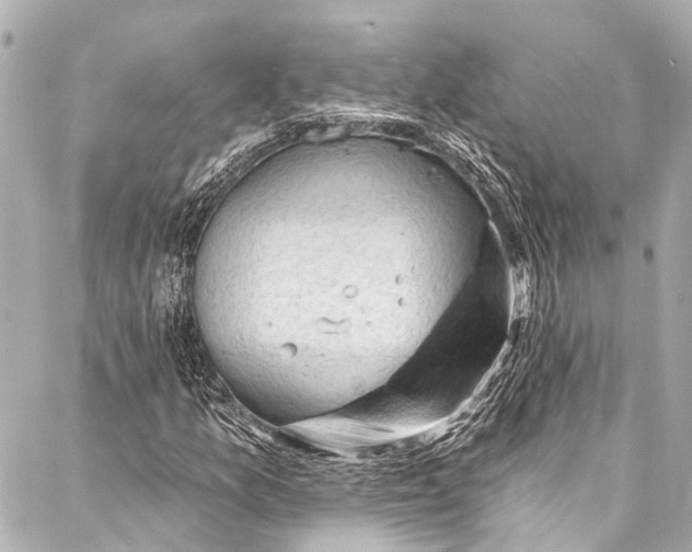 X0000087031157200705071527