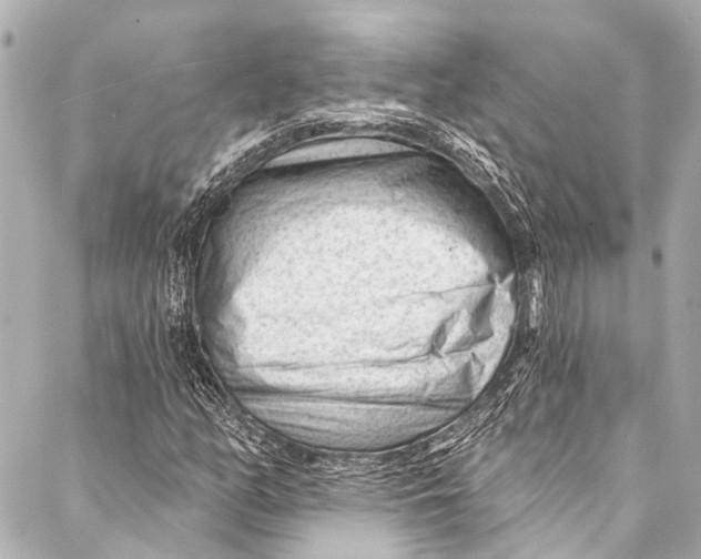 X0000087031158200705071527