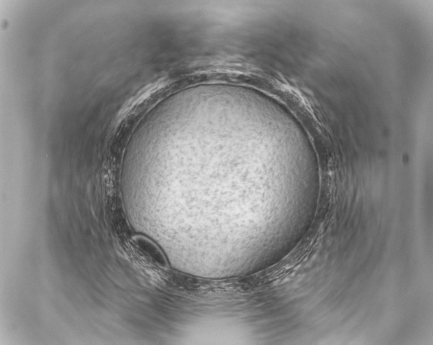 X0000087031159200705071527