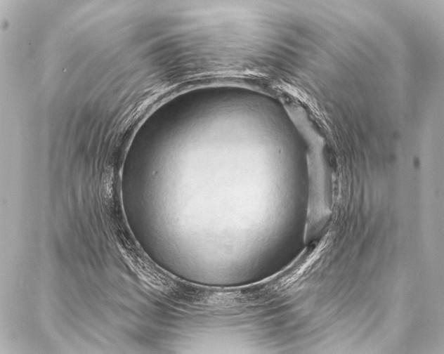 X0000087031161200705071527