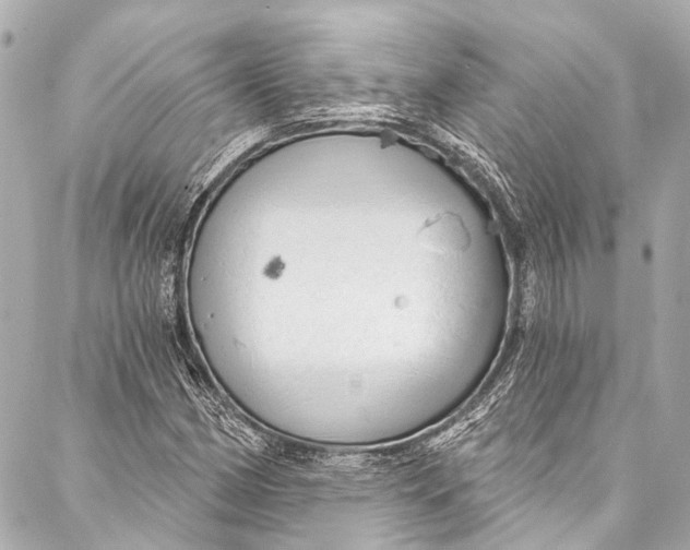 X0000087031162200705071527