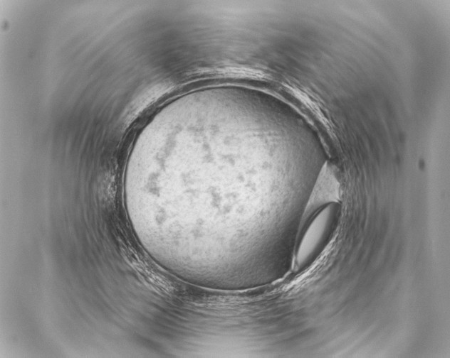 X0000087031163200705071527