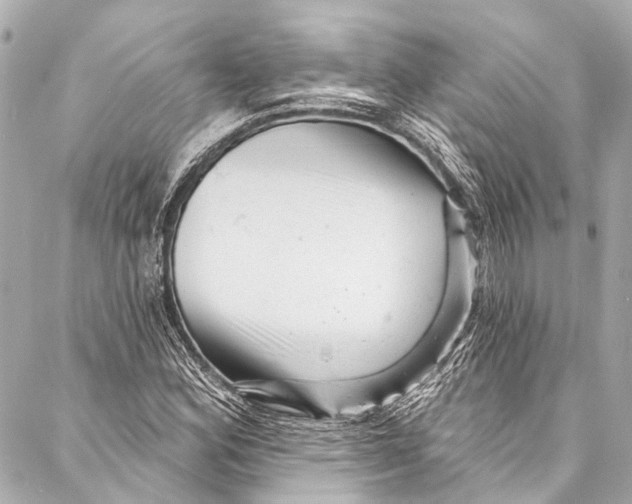 X0000087031164200705071527