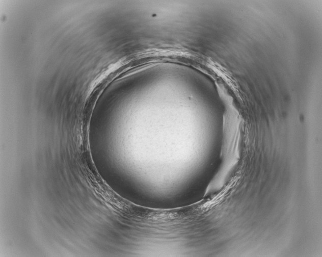 X0000087031165200705071527