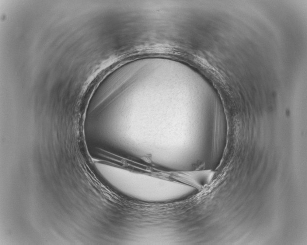 X0000087031166200705071527