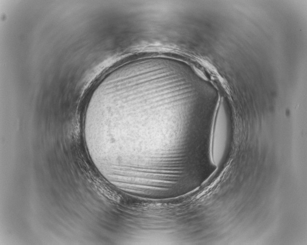 X0000087031167200705071527