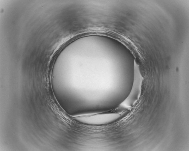 X0000087031168200705071527