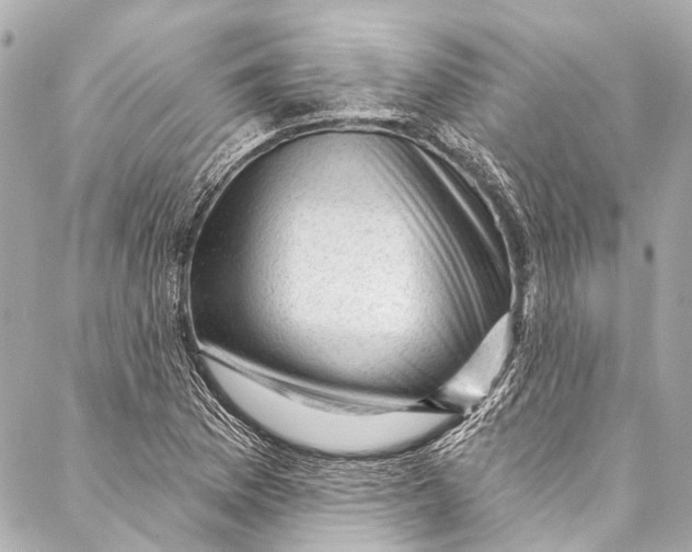 X0000087031169200705071527