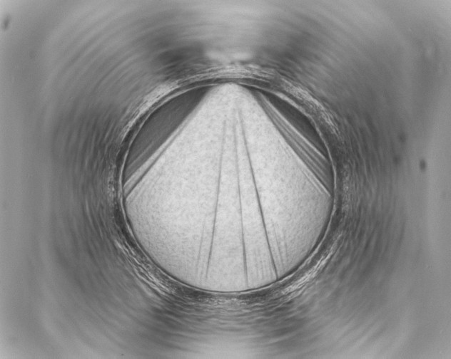 X0000087031170200705071527