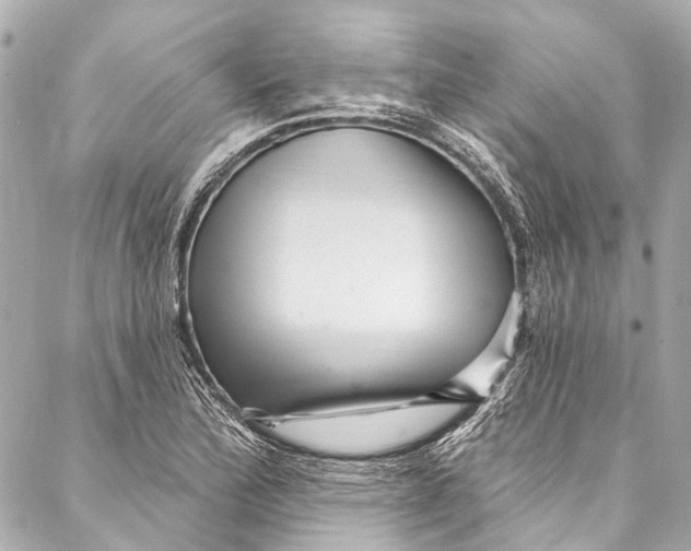 X0000087031172200705071527