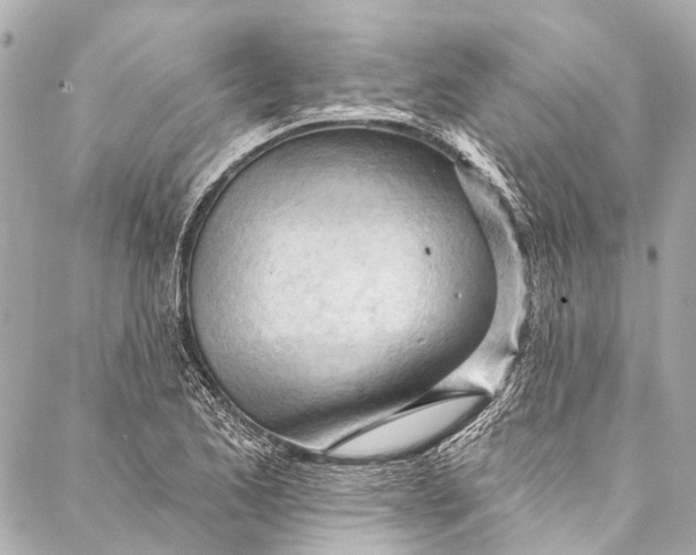 X0000087031173200705071527