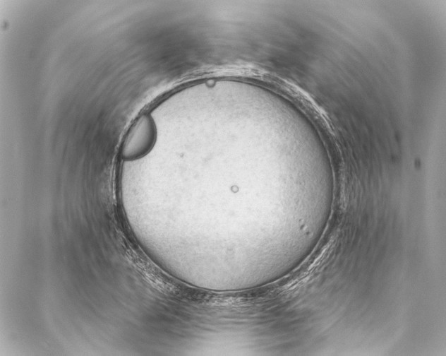 X0000087031174200705071527