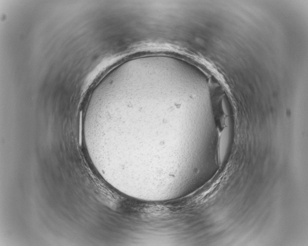 X0000087031175200705071527