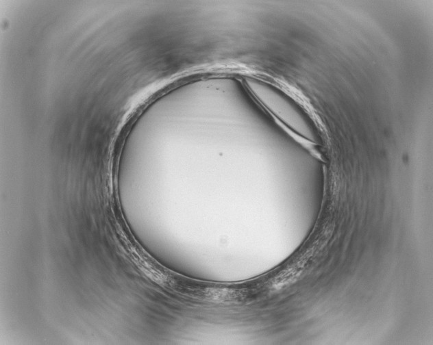 X0000087031176200705071527