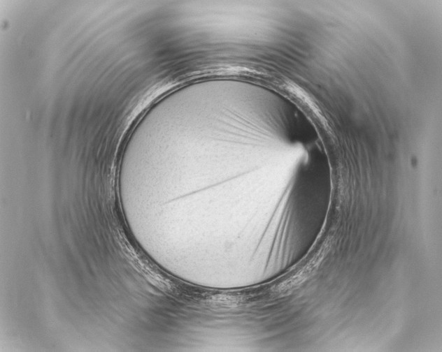 X0000087031178200705071527