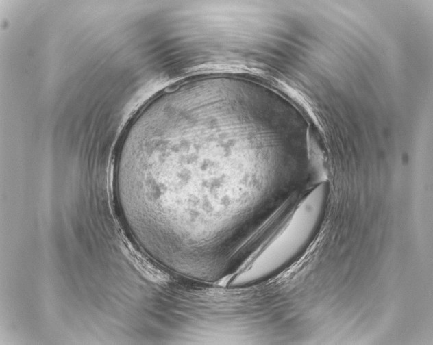 X0000087031179200705071527