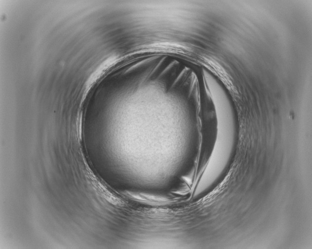 X0000087031180200705071527