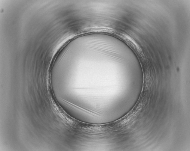 X0000087031182200705071527