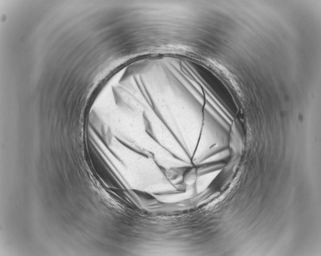 X0000087031184200705071527