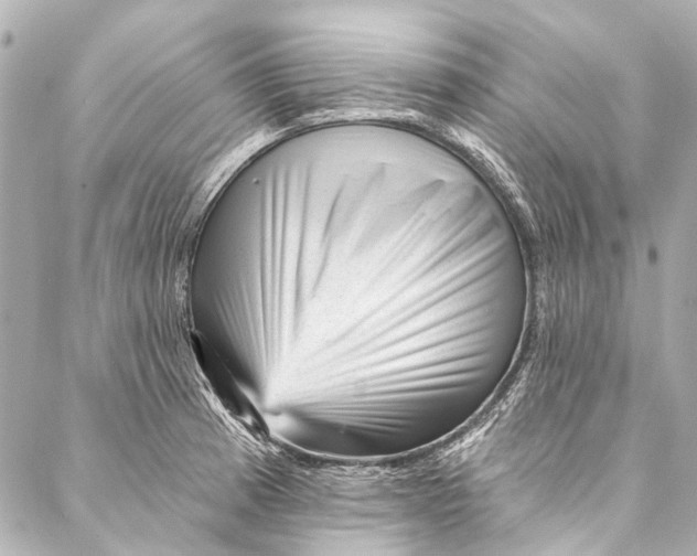 X0000087031185200705071527