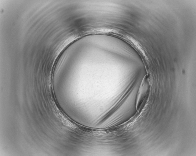 X0000087031186200705071527