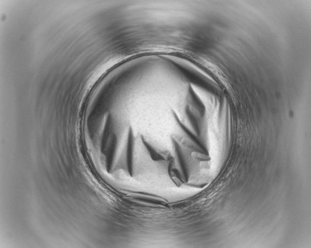 X0000087031187200705071527