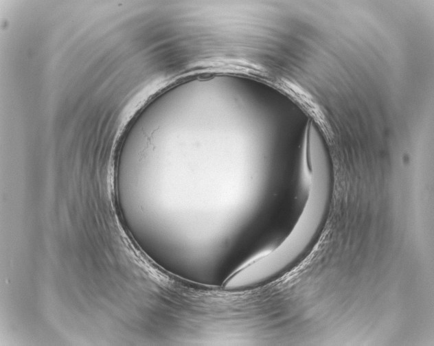 X0000087031188200705071527