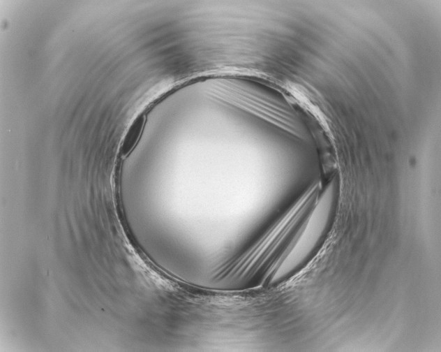 X0000087031189200705071527