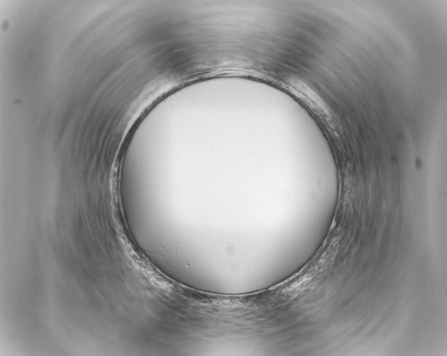 X0000087031190200705071527